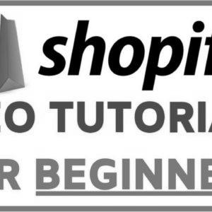 Shopify web optimization Optimization Tutorial For Rookies |  Step by step FREE TRAFFIC