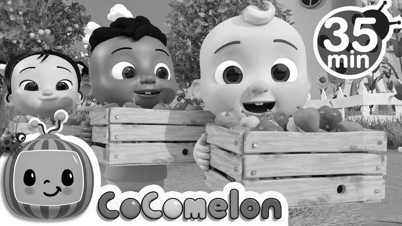 Be taught to Rely with Apples + More Nursery Rhymes & Youngsters Songs – CoComelon