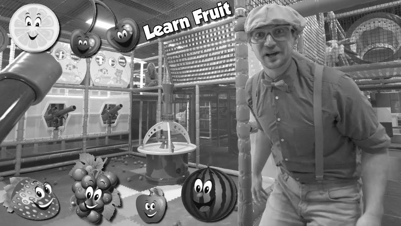 Study Fruits with Blippi |  Educational Indoor Playground Videos for Children