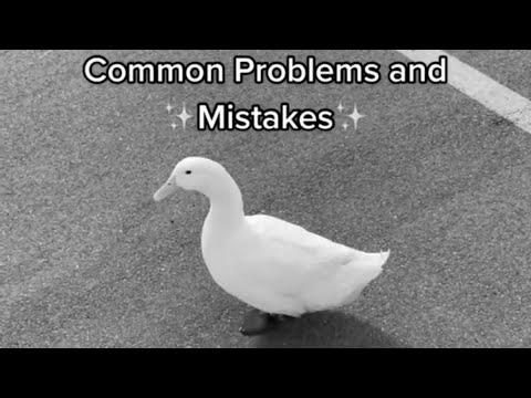 How to Choose Up a Duck #1 (full video)